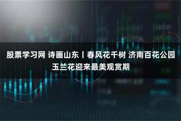 股票学习网 诗画山东丨春风花千树 济南百花公园玉兰花迎来最美观赏期